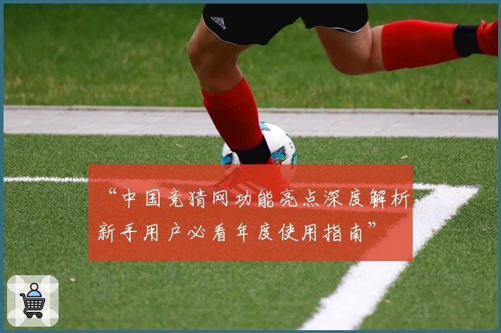 “中国竞猜网功能亮点深度解析，新手用户必看年度使用指南”