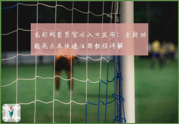 竟彩网首页官方入口发布：全新功能亮点及快速注册教程详解