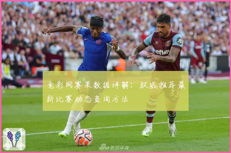 竞彩网赛果数据详解：权威推荐最新比赛动态查询方法