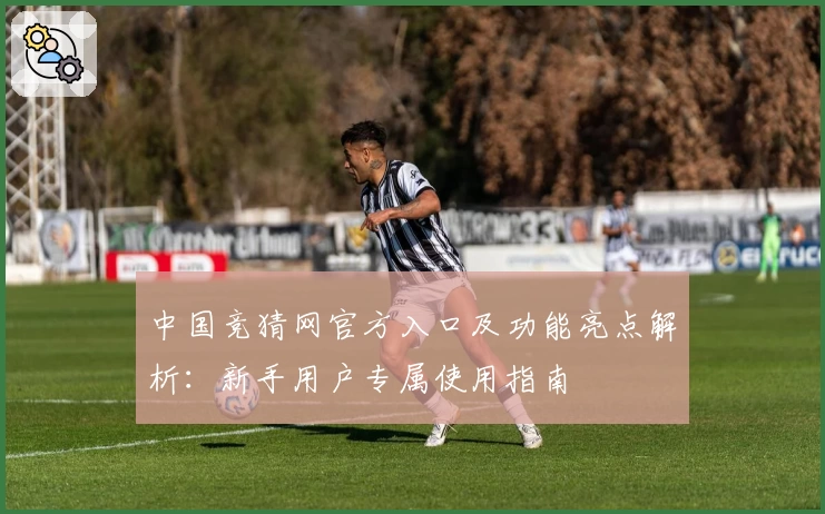 中国竞猜网官方入口及功能亮点解析：新手用户专属使用指南