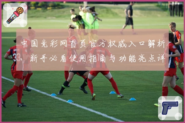 中国竞彩网首页官方权威入口解析，新手必看使用指南与功能亮点详解