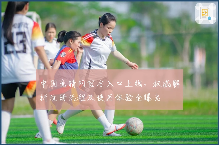 中国竞猜网官方入口上线，权威解析注册流程及使用体验全曝光
